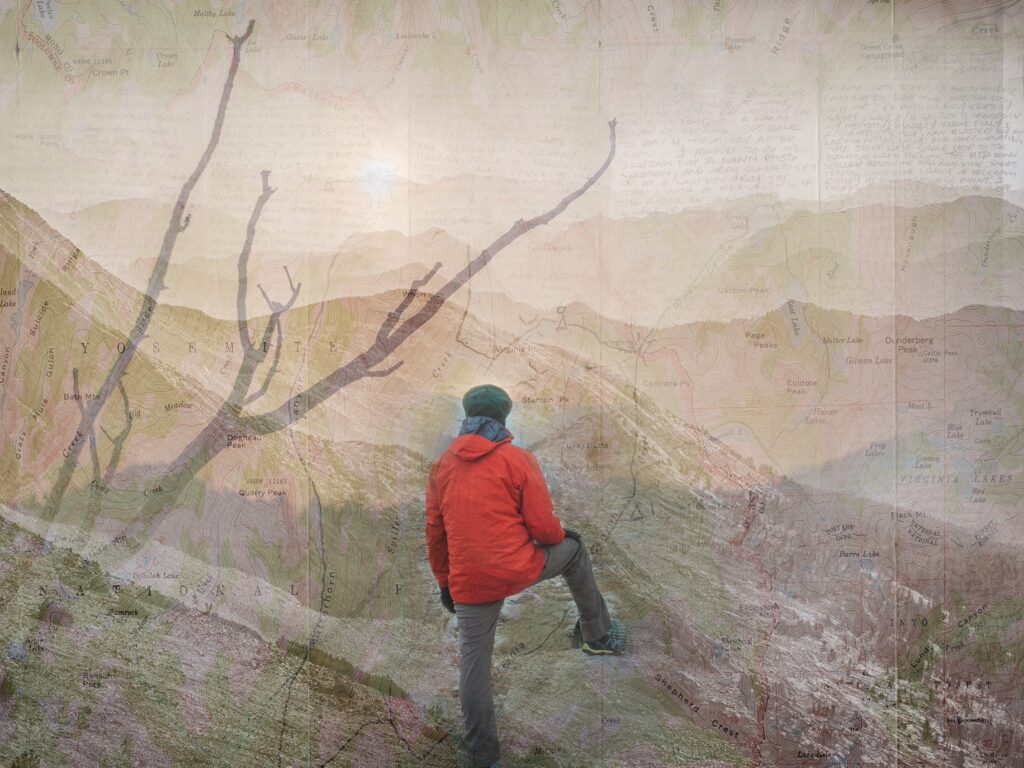 Wilderness photo collage